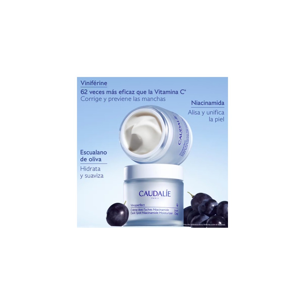 CAUDALIE VINOPERFECT CREMA RESPLANDOR...