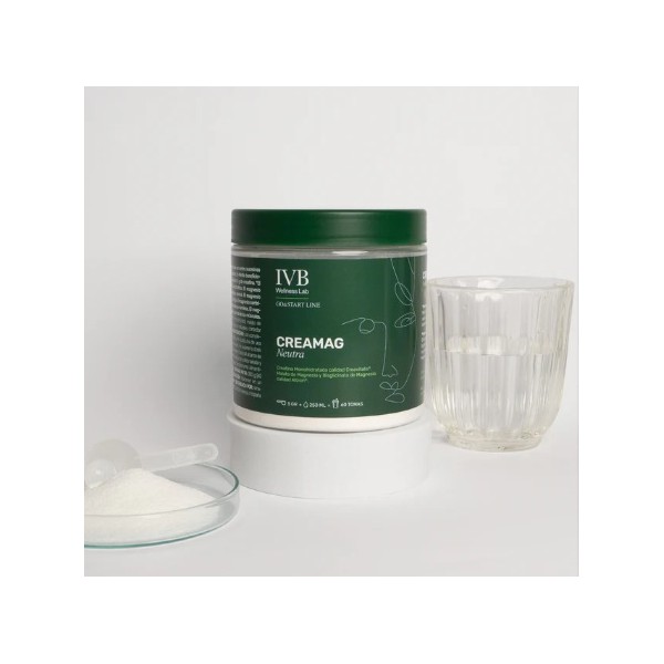 IVB CREAMAG FRESA-KIWI 300G