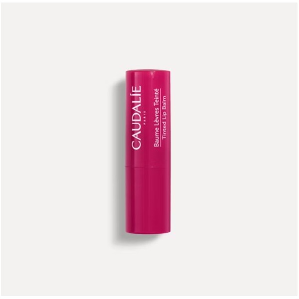 CAUDALIE CACAO HIDRATANTE CON COLOR 4.5 G