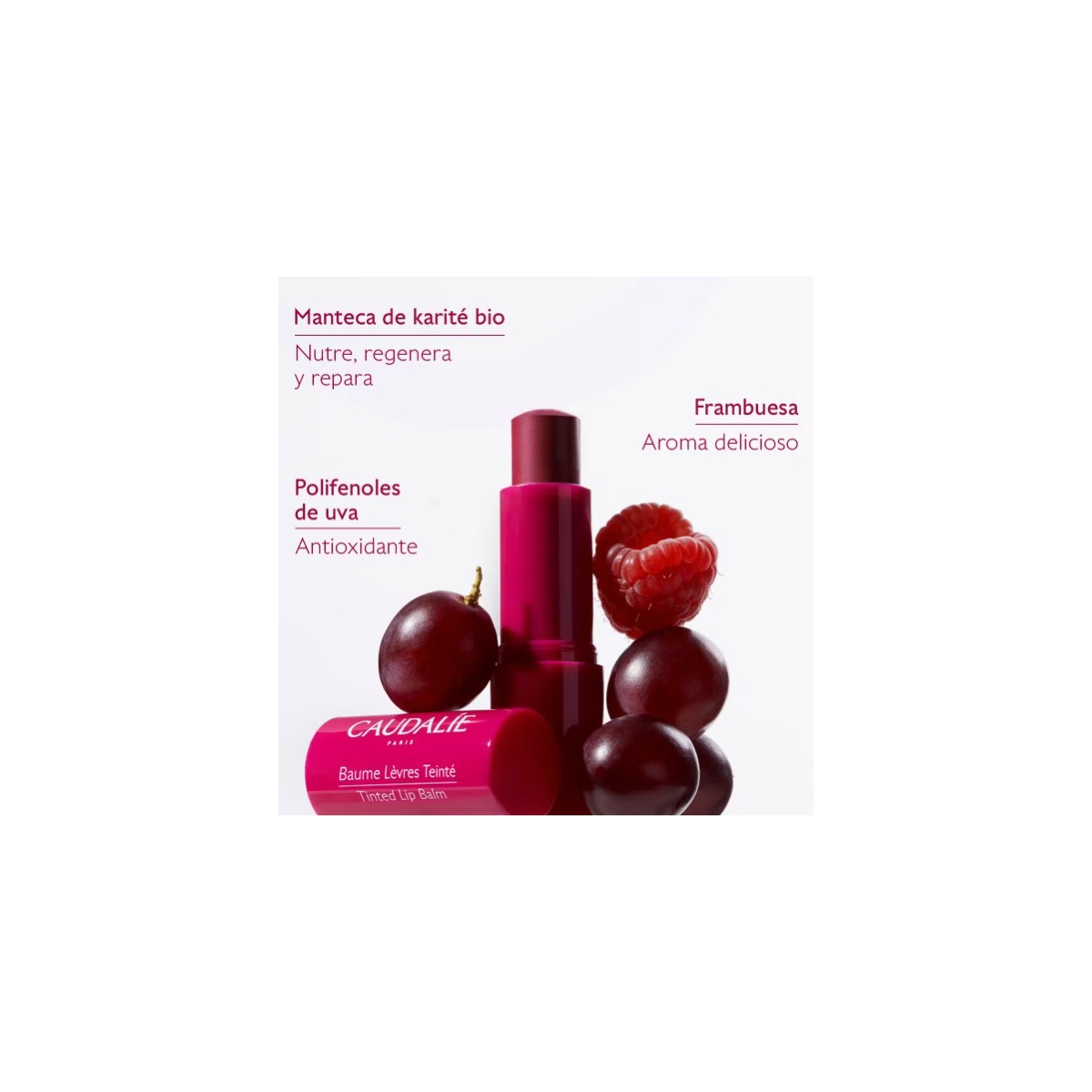 CAUDALIE CACAO HIDRATANTE CON COLOR 4.5 G