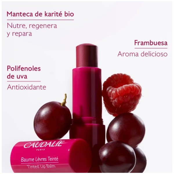 CAUDALIE CACAO HIDRATANTE CON COLOR 4.5 G