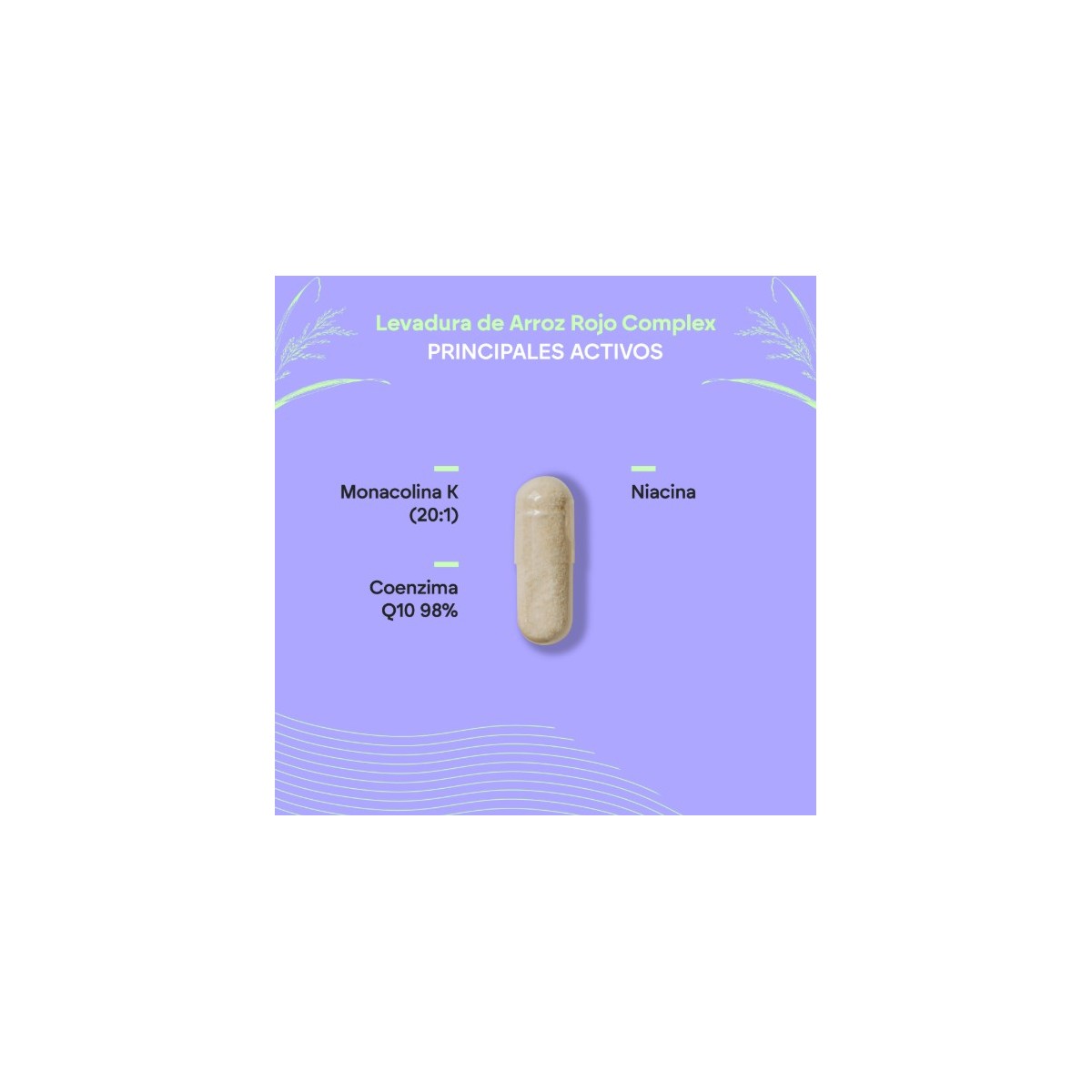 NUTRALIE RED YEAST RICE COMPLEX  90 CAPSULAS