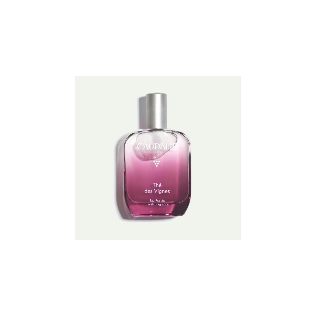 CAUDALIE THE DES VIGNES 50 ML