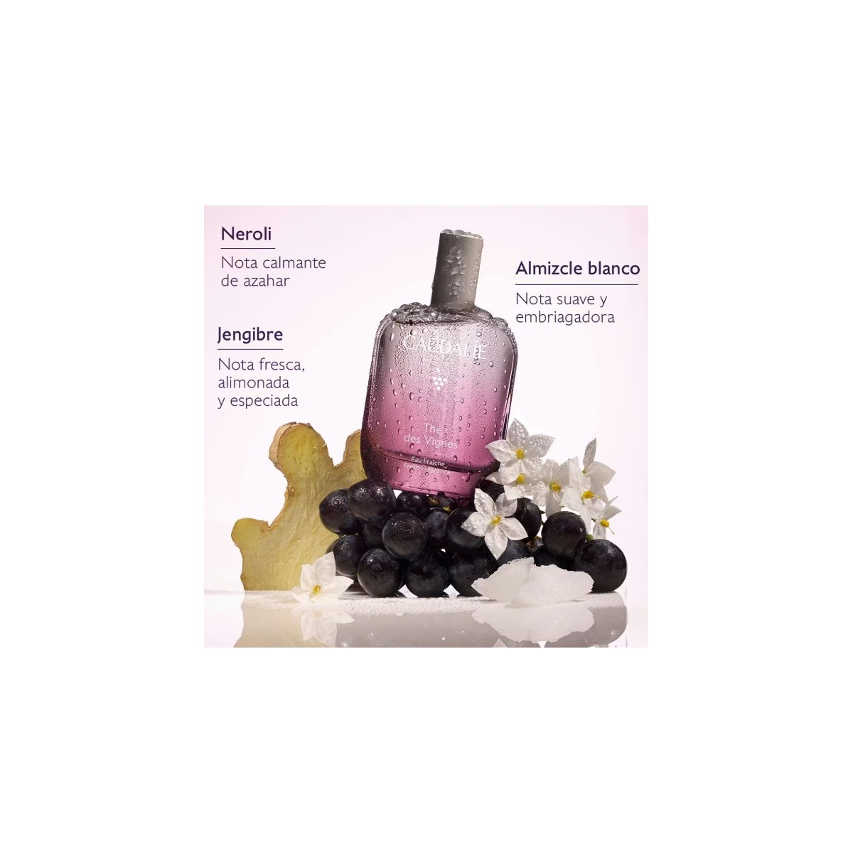 CAUDALIE THE DES VIGNES 50 ML