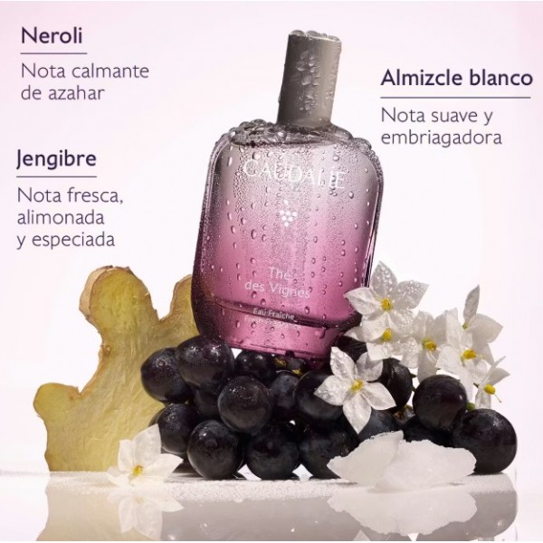 CAUDALIE THE DES VIGNES 50 ML
