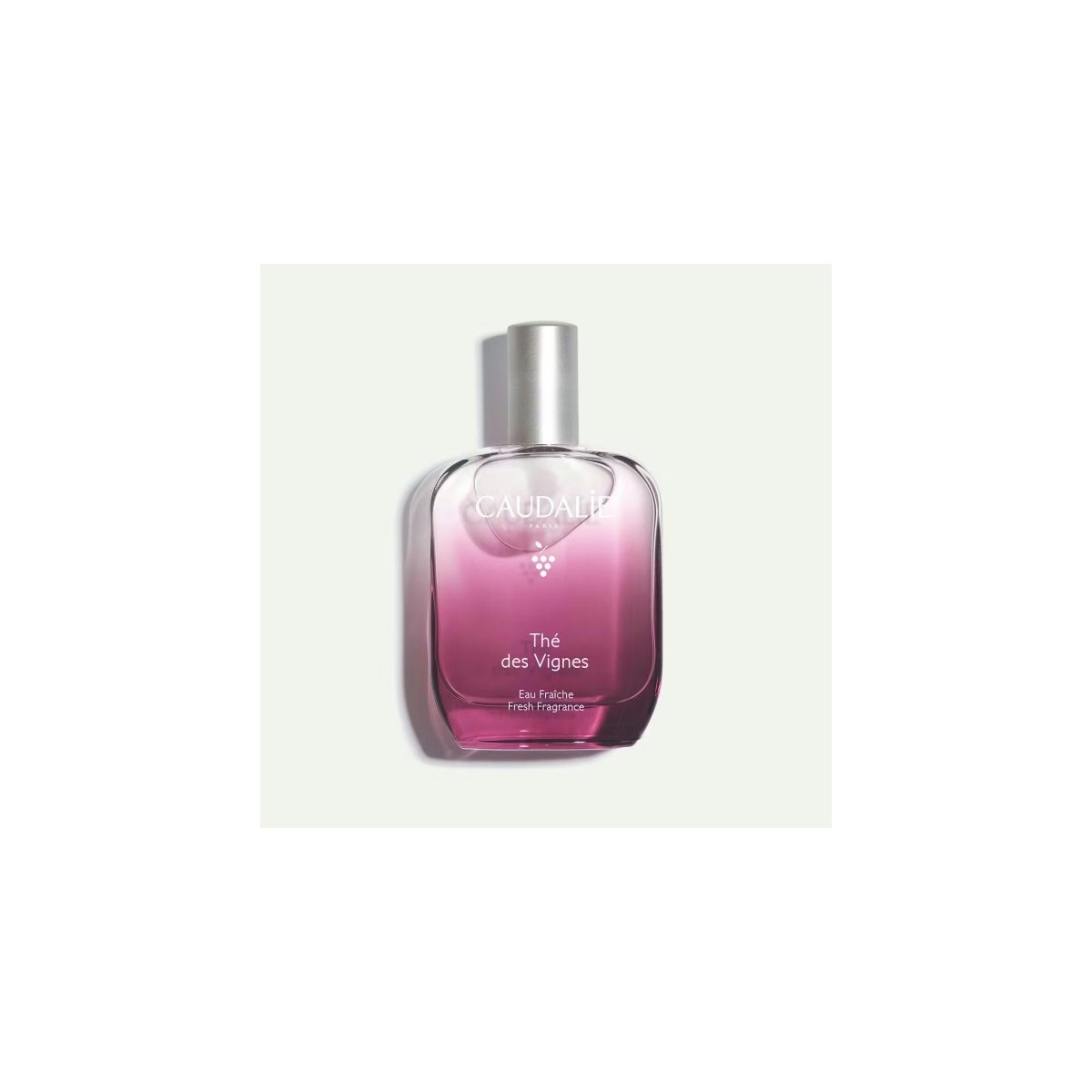 CAUDALIE THE DES VIGNES AGUA REFRESCANTE 100ML