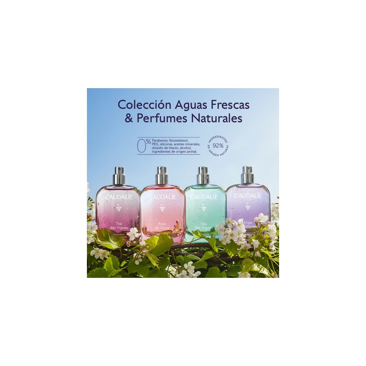 CAUDALIE THE DES VIGNES AGUA REFRESCANTE 100ML