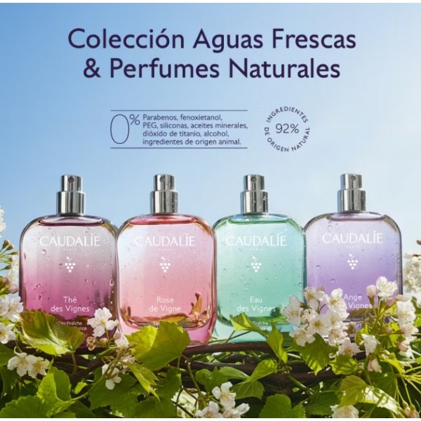CAUDALIE THE DES VIGNES AGUA REFRESCANTE 100ML