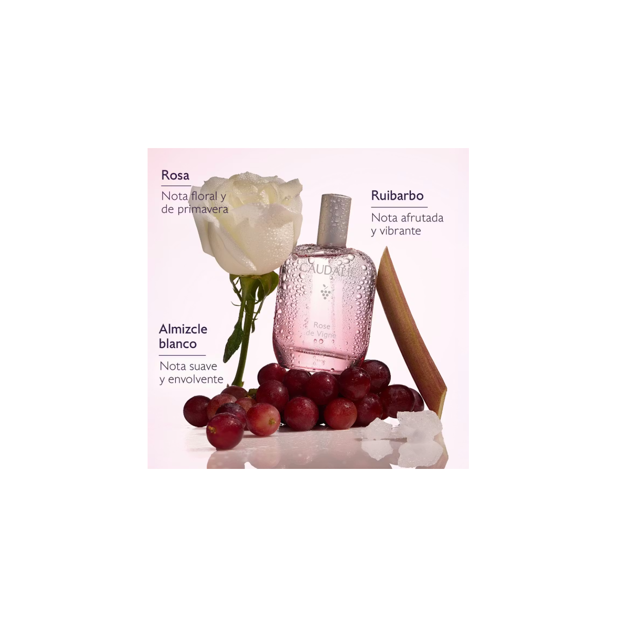 CAUDALIE AGUA FRESCA ROSE DE VIGNE 50 ML