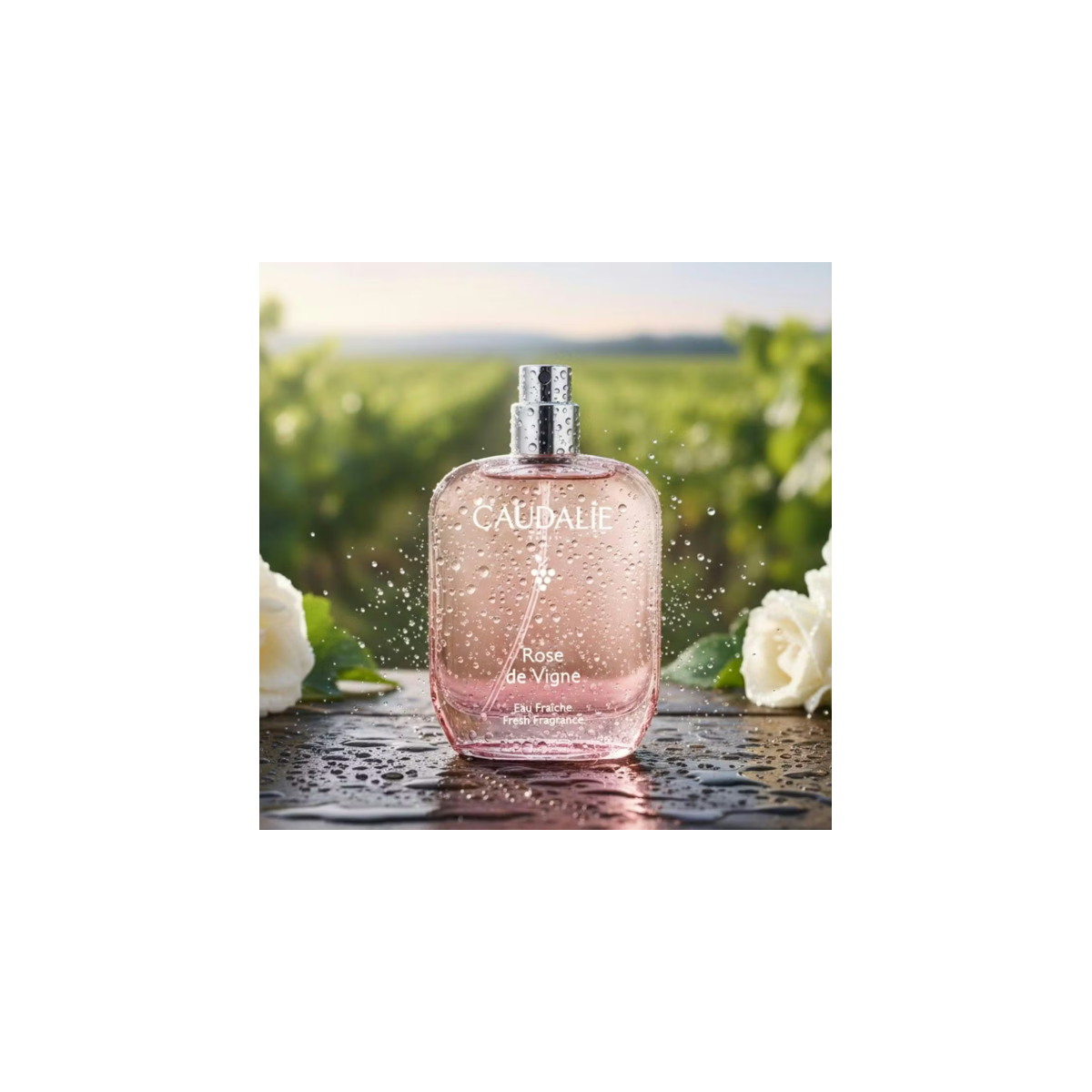 CAUDALIE AGUA FRESCA ROSE DE VIGNE 50 ML