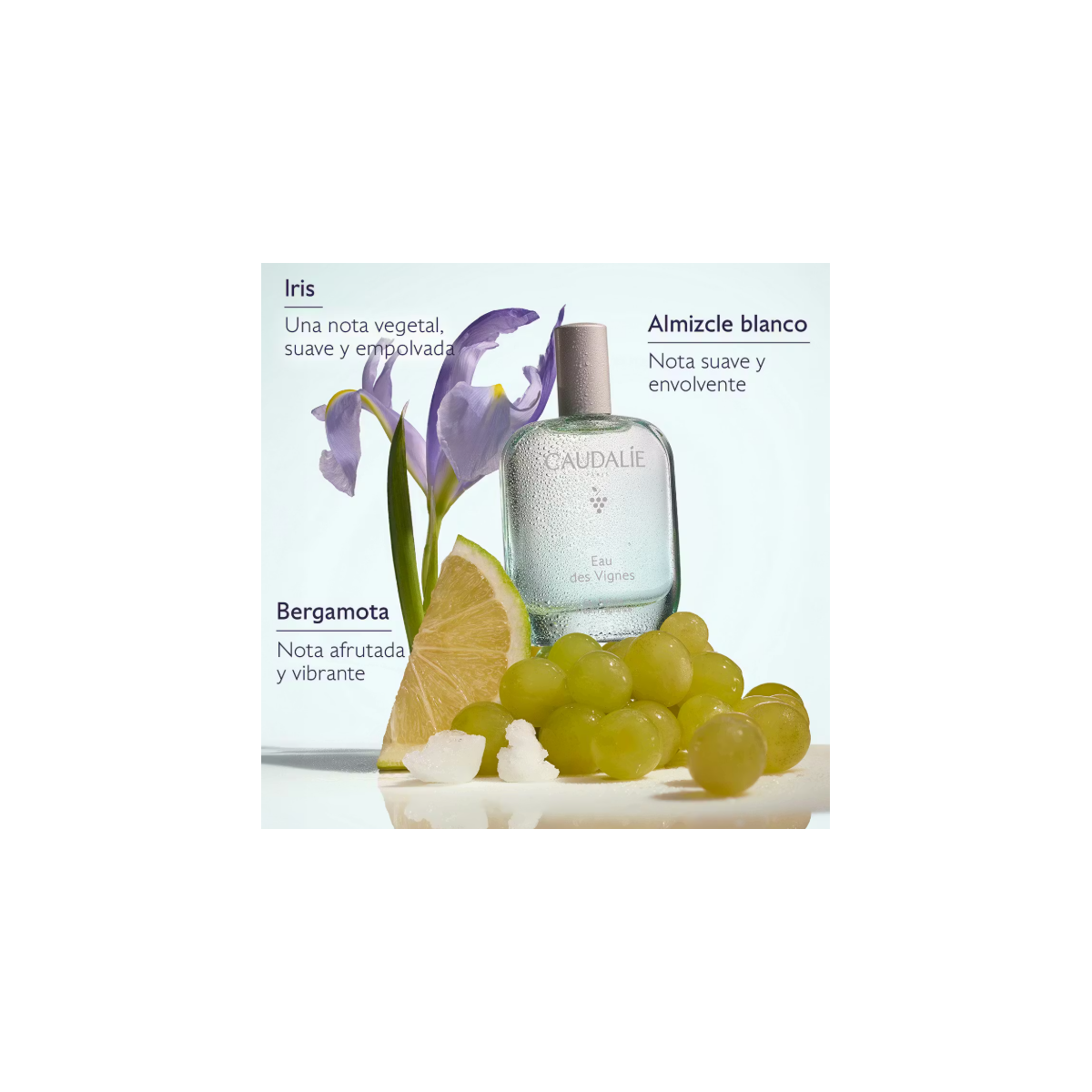 CAUDALIE AGUA FRESCA EAU DES VIGNES 50 ML
