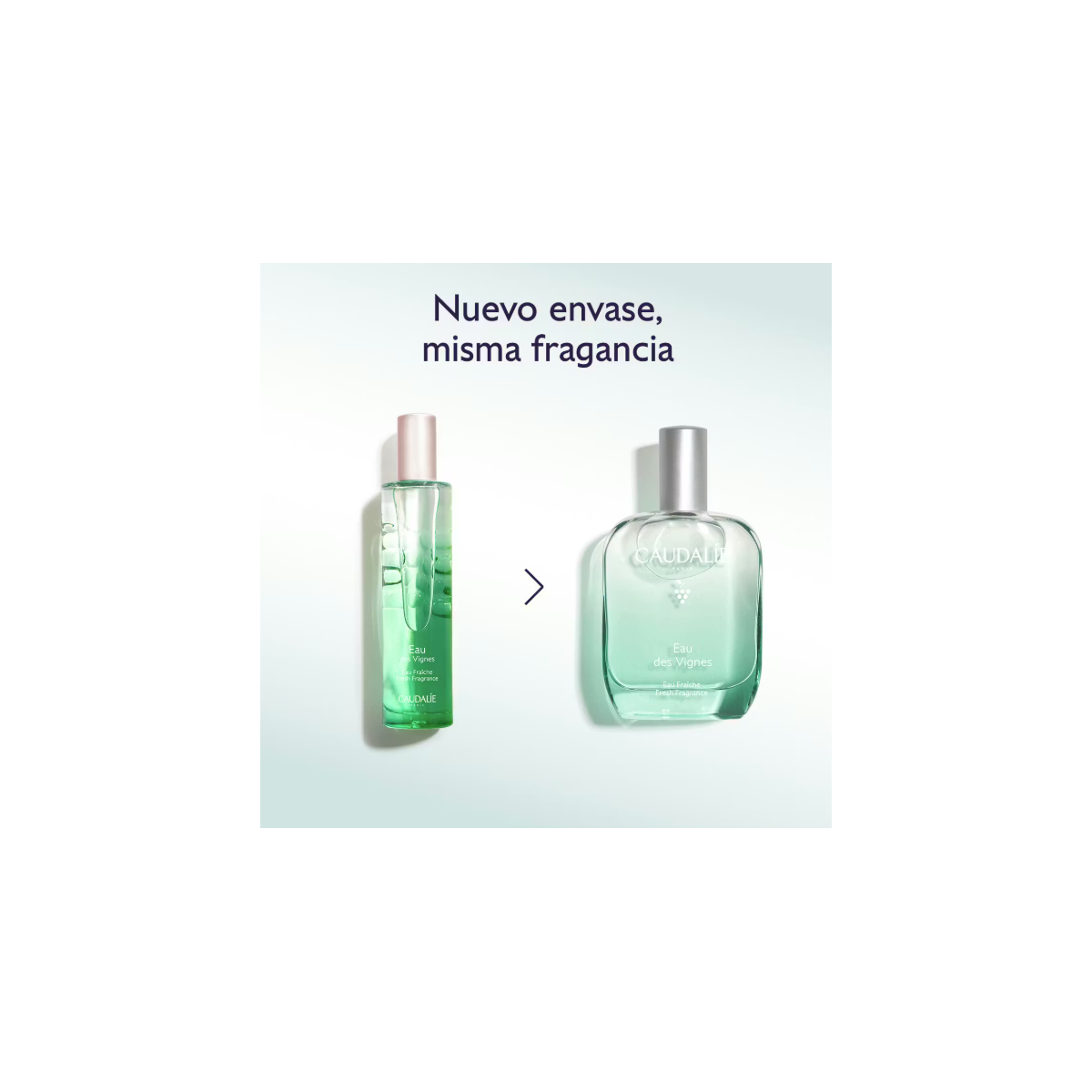 CAUDALIE AGUA FRESCA EAU DES VIGNES 50 ML