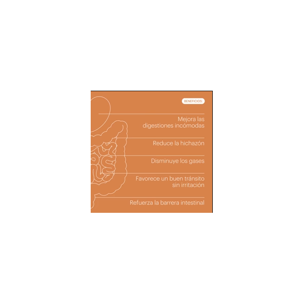 BELEVELS DIGESTYA 60 CAPSULAS