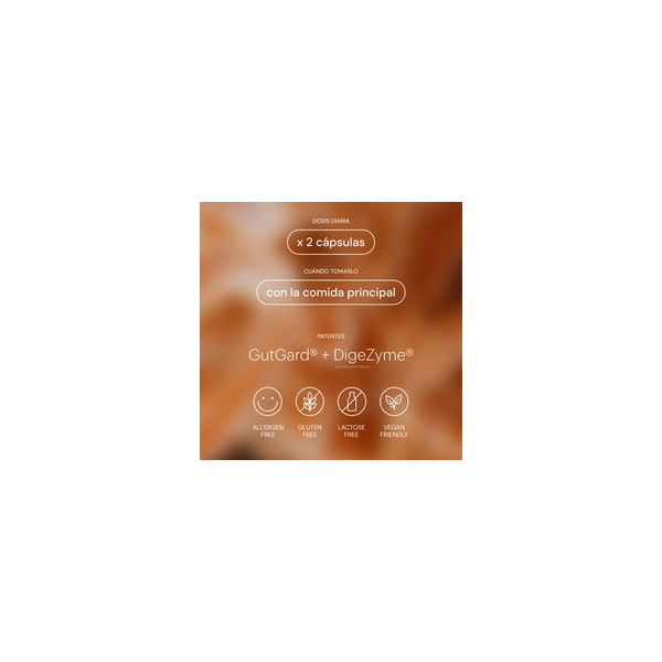 BELEVELS DIGESTYA 60 CAPSULAS